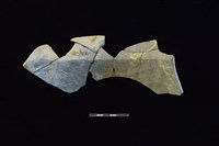 陶罐藏品圖，第2張